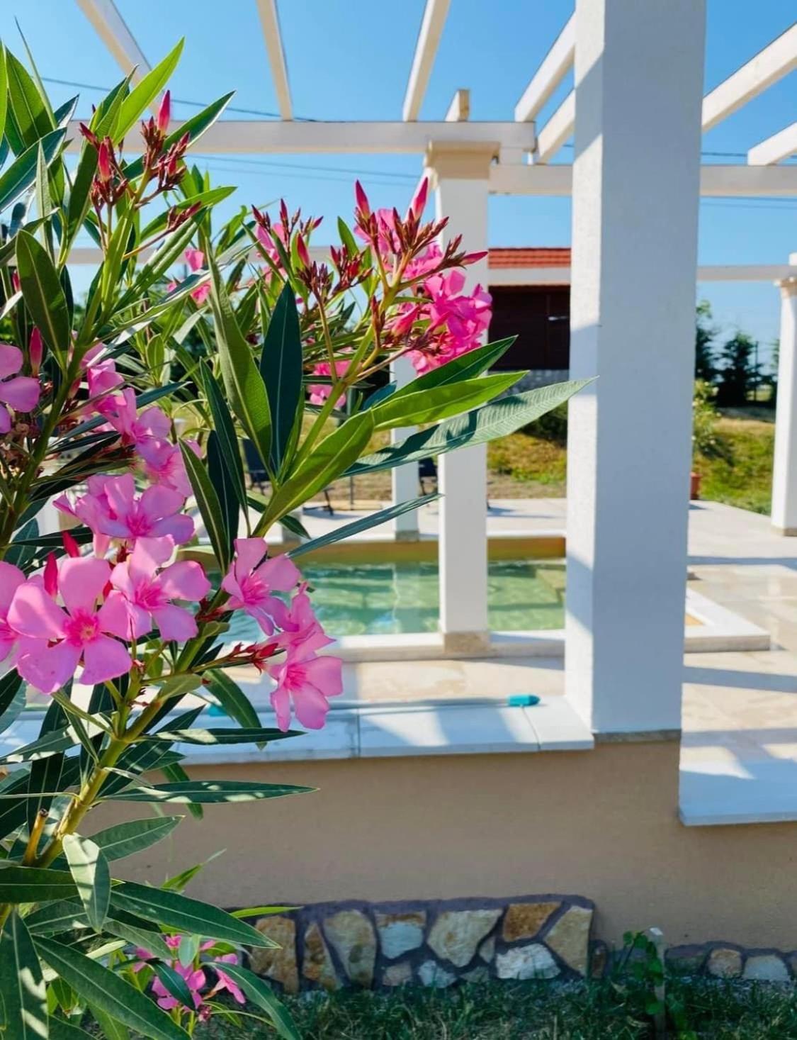 Platan Vendeghaz Apartment Balatongyorok